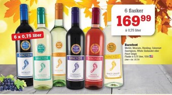 Poetzsch Padborg Barefoot tilbud