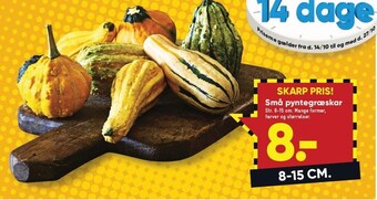 Bilka Små pyntegræskar tilbud