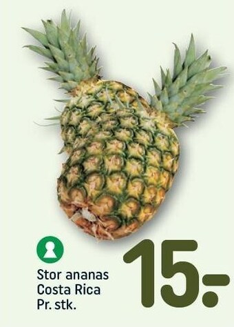REMA 1000 Stor ananas costa rica tilbud