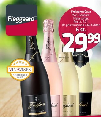 Fleggaard Freixenet Cava 75 cl. tilbud