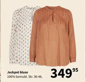 Kvickly Jackpot bluse 100% bomuld. str. 36-46 tilbud