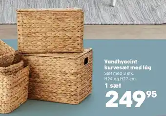 Kvickly Vandhyacint kurvesæt med låg tilbud