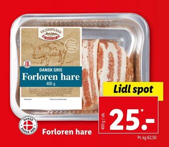 Lidl Forloren hare tilbud