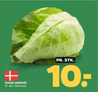 Netto Dansk spidskål tilbud