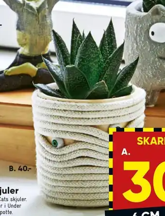 Bilka Halloween planter i skjuler tilbud