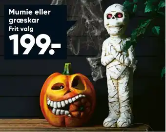 Bilka Mumie eller græskar tilbud