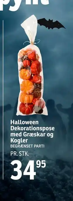 Halloween dekorationspose med græskar og kogler