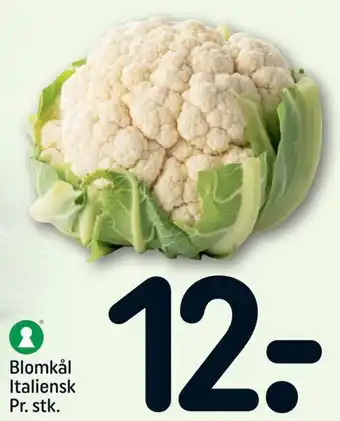 REMA 1000 Blomkål Italiensk Pr.Stk. tilbud