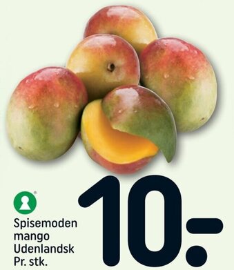 REMA 1000 Spisemoden Mango Udenlandsk tilbud