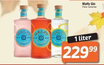 Fakta Tyskland Malfy gin tilbud