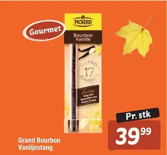 Grand bourbon vaniljestang