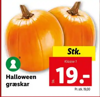 Lidl Ukendt græskar tilbud