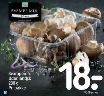 Champi cuisine svampe