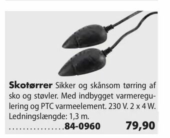 Skotørrer