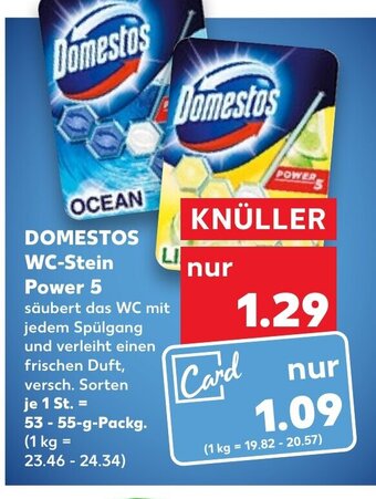 Domestos WC-Stein Power 5