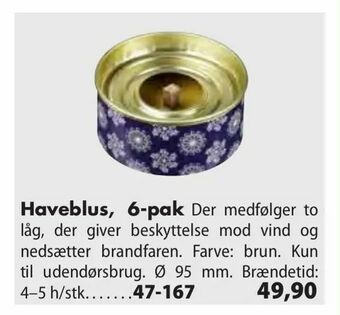 Haveblus, 6-pak