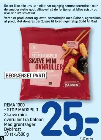 REMA 1000 Mini ovnruller fra daloon tilbud
