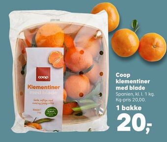 SuperBrugsen Coop klementiner med blade tilbud