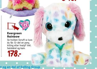 Bilka Evergreen rainbow tilbud