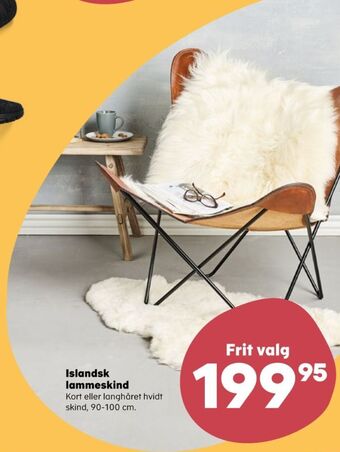 Kvickly Ukendt lammeskind tilbud