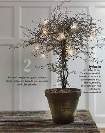 Kop & Kande Lyskæde med 10 led lys - flere varianter tilbud
