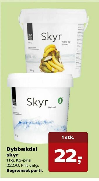 Dybbækdal skyr