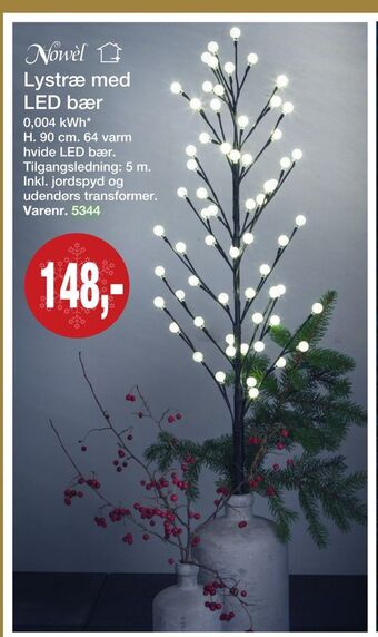 Harald Nyborg Lystræ med led bær tilbud