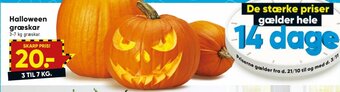 Bilka Halloween græskar tilbud
