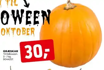jem & fix Ukendt halloween græskar tilbud