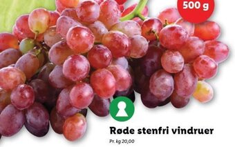 Lidl Røde Stenfri Vindruer tilbud