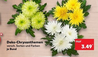 Kaufland DE Deko-Chrysanthemen tilbud