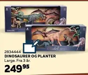 Dinosaurer og planter