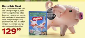 Kaste Gris Giant