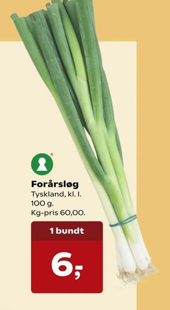 Kvickly Forårsløg tilbud