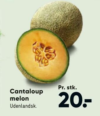 Cantaloup melon