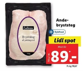 Lidl Andebryststeg tilbud