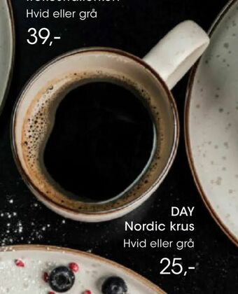 DAY Nordic krus