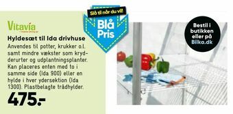Hyldesæt til Ida drivhuse