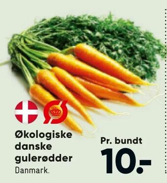 Bilka Økologiske danske gulerødder tilbud
