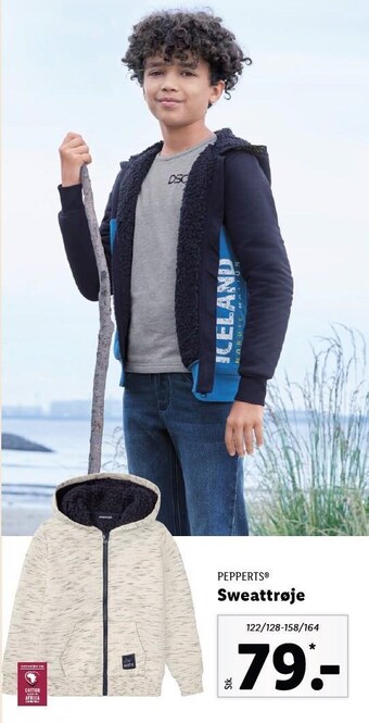 Lidl Sweattrøje tilbud