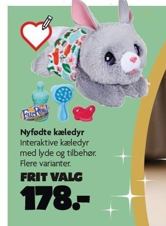 Fætter BR Nyfødte kæledyr tilbud