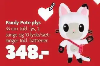 Pandy pote plys