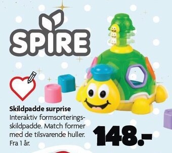 Skildpadde surprise