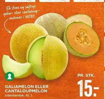 Galiamelon eller cantaloupmelon