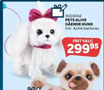 Pets alive gående hund