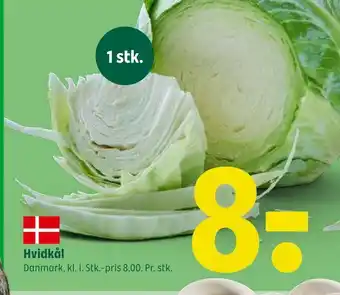 Hvidkål