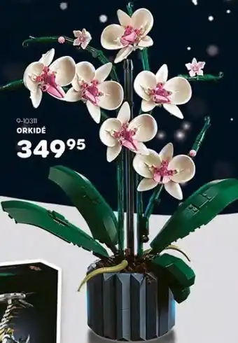 KiDS Coolshop Lego orkidé tilbud