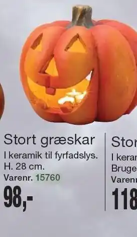 Harald Nyborg Stort græskar tilbud