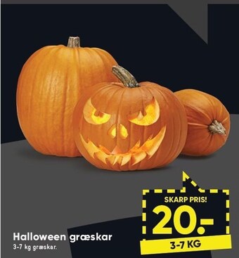 Bilka Halloween græskar tilbud