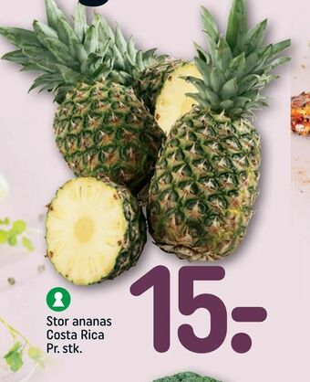 Stor ananas Costa Rica